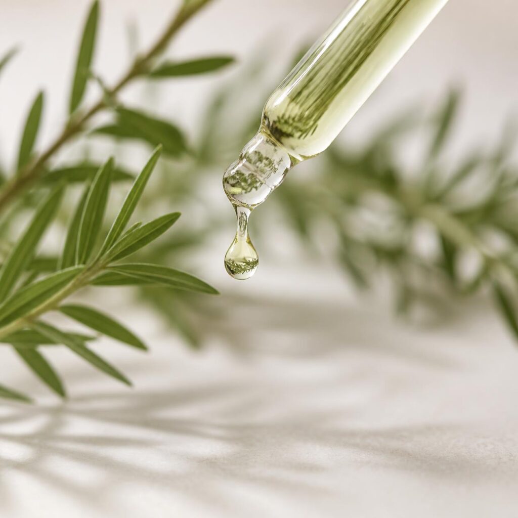 Óleo de melaleuca (tea tree) para que serve, como usar com segurança e por que ele nunca deve ser aplicado puro